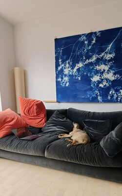 My dog on the sofa