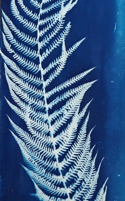 Blue Blue