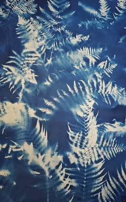 Lost in Blue